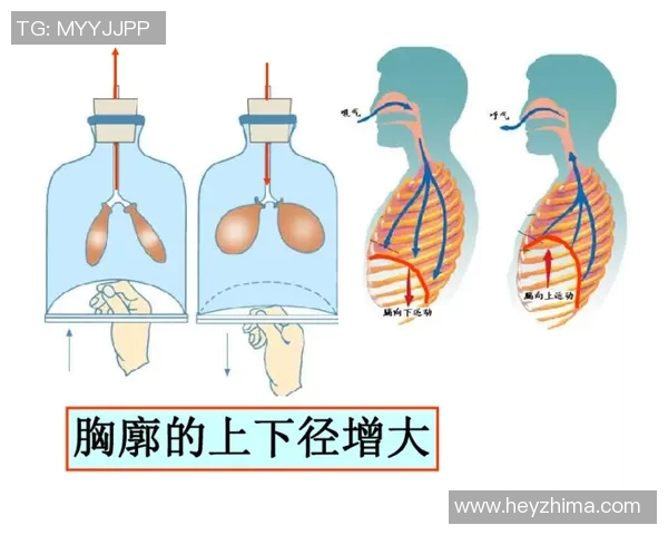 探索健康之径揭示适合你的最佳运动方式与秘诀